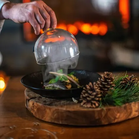 Orlik Mountain Resort&spa 4* ブコビナ・タトシャンスカ